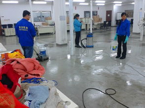 全方位保潔服務 從開荒到托管，為您打造潔凈空間