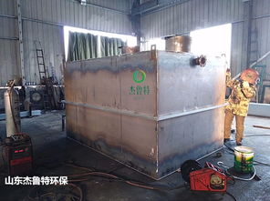 福州食品廠一體化氣浮機(jī)裝置 品質(zhì)鑄就信賴，凈化成就未來